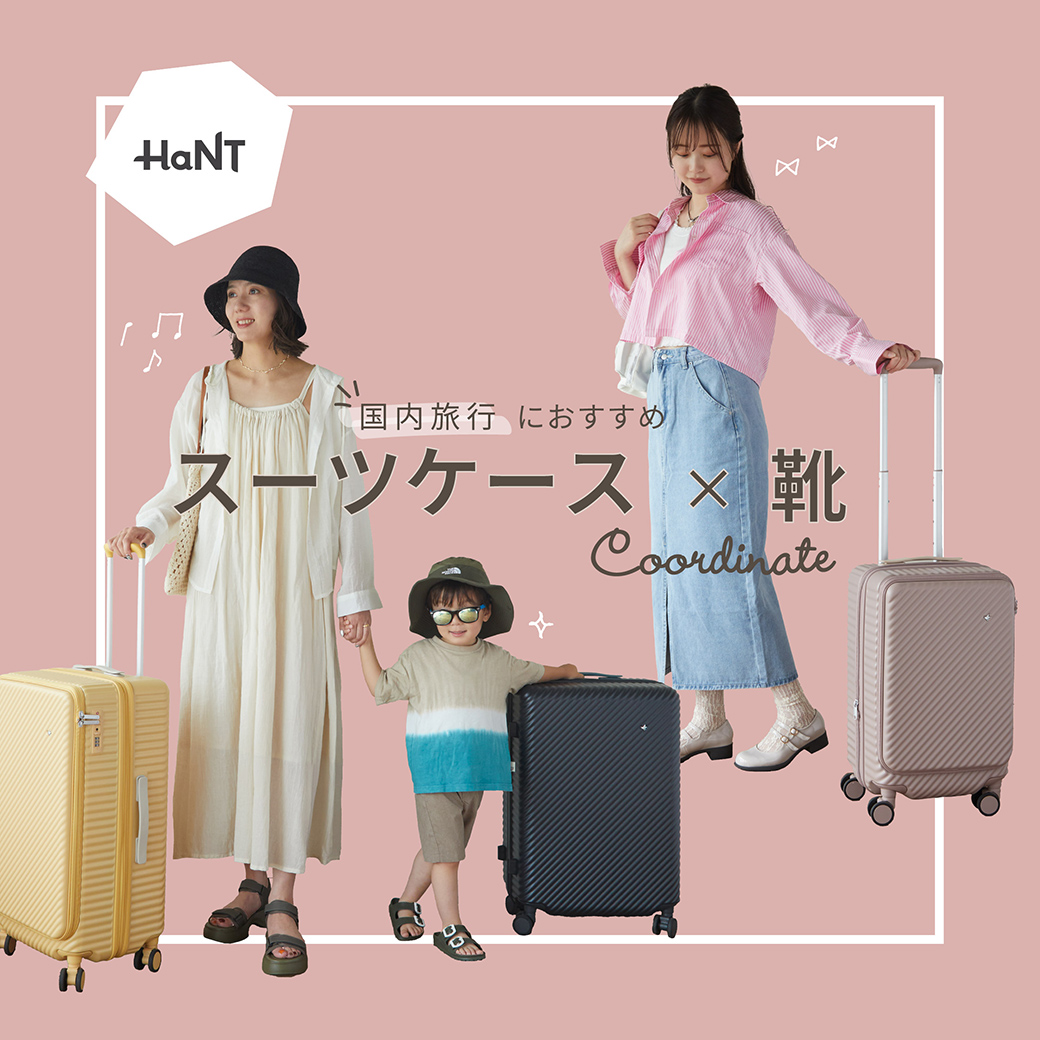 domestic-travel