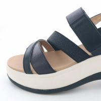 前底の厚さ：約3.5cm