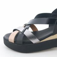 前底の厚さ：約2.5cm