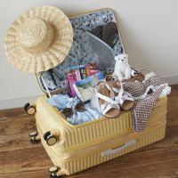 リゾート旅行にもぴったり◎