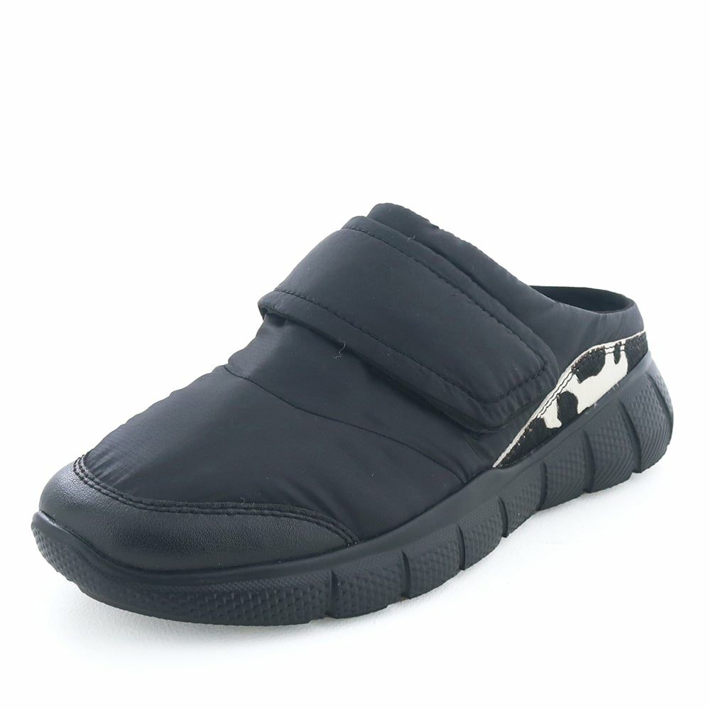 ブラックコンビ